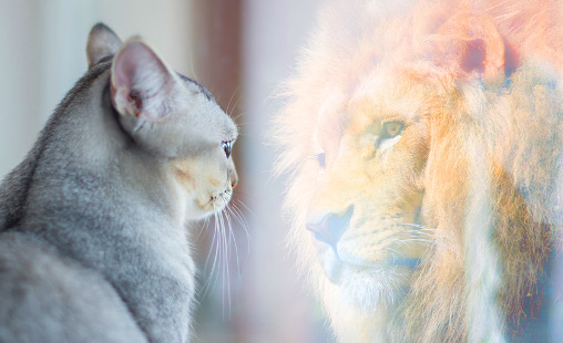 Steigerung des Selbstwertgefühls